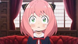 Shipping Delays 4/28-5/10