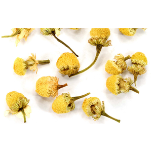 Chamomile (Members Only)