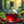Health Potion