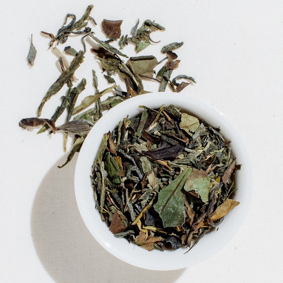 Elixir of the Gods – The Dragon's Treasure