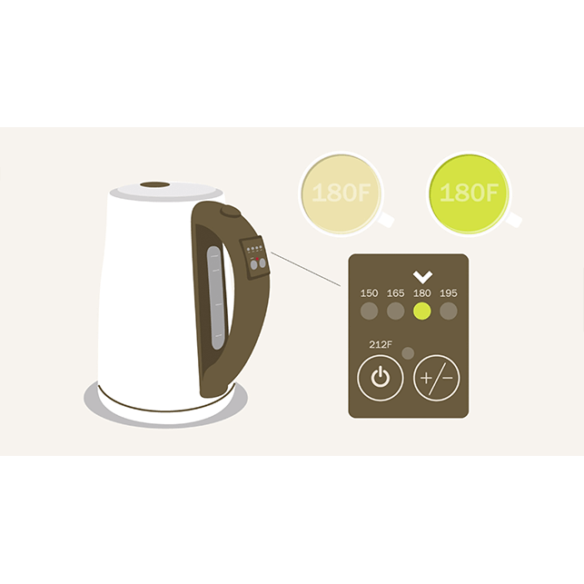 UtiliTea Electric Tea Kettle – The Dragon's Treasure